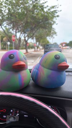 Squishy ducks