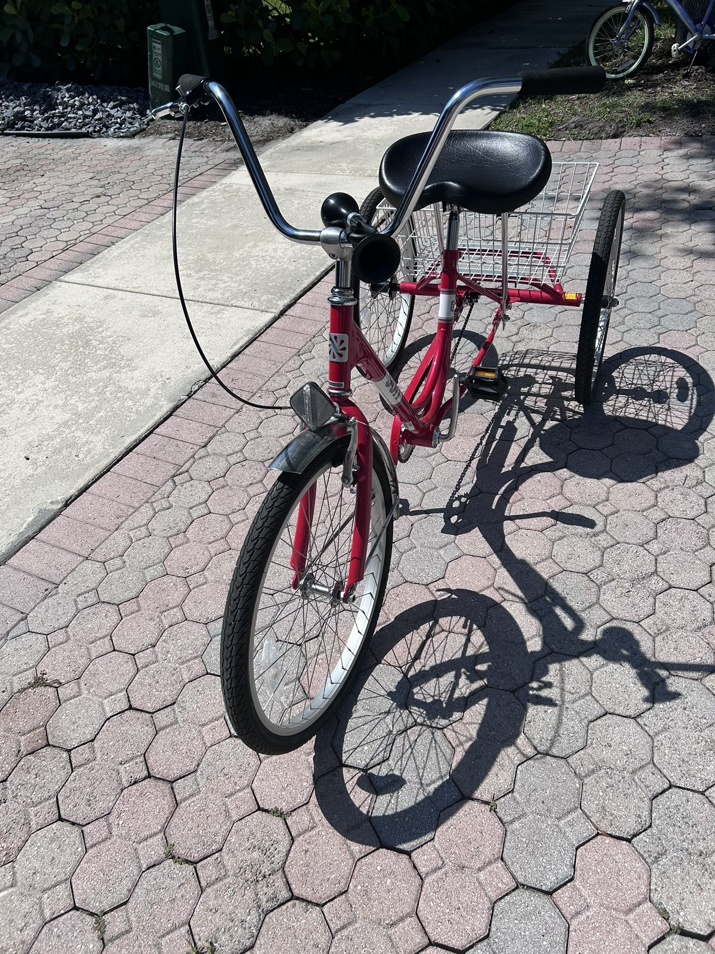 Adult Tricycle