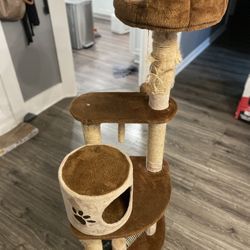 Cat Tree