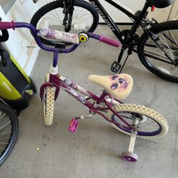 Little Girls Bike 