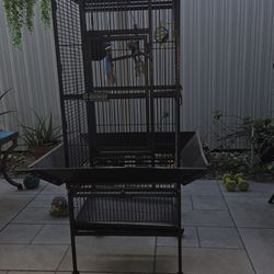 Jaula Negra De Hierro Fuerte Para Aves En Buenas Condiciones