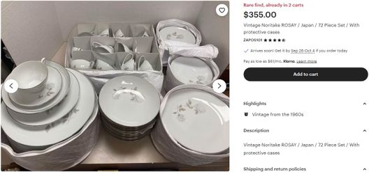 Vintage Noritake ROSAY / Japan / 72 Piece Set / With Protective Case