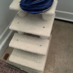Cat Stairs And Play Tube