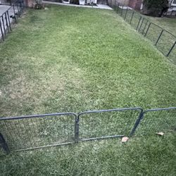 Dog Fence 24” High  32 Panels  FREE!!!