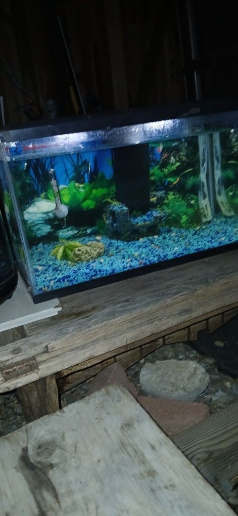 FISH AQUARIUM. 10 gallon