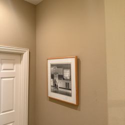 Framed Picture