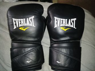 Everlast Protex2 16 Oz Training Glove Black 3116lxl      3 ratings