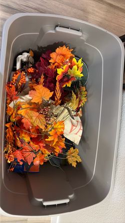Halloween stuff decorations