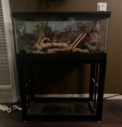 Reptile Habitat Complete Set Up -  40 Gal Tank , Stand  & Lights + Extras