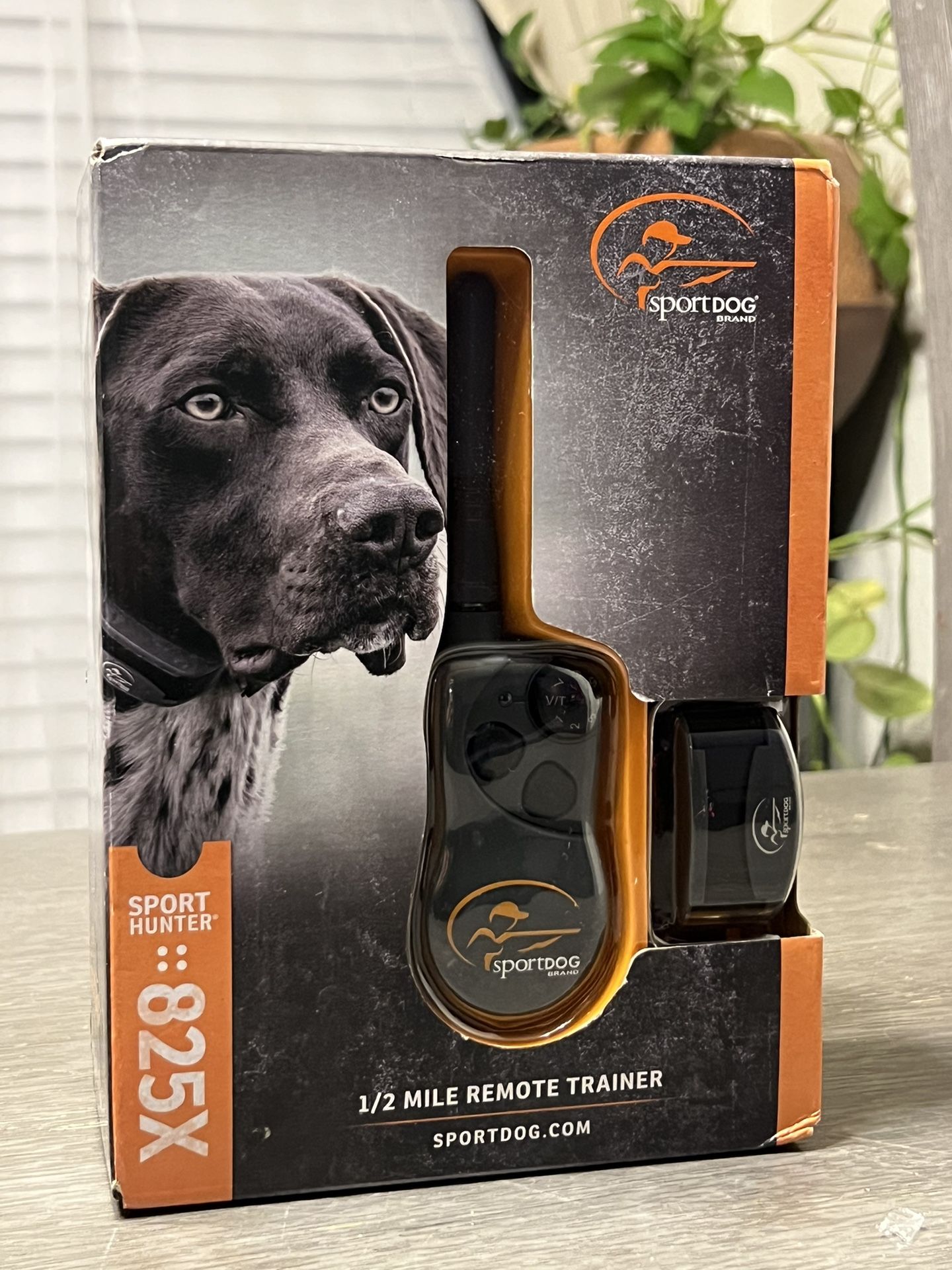 Dog Training Collar