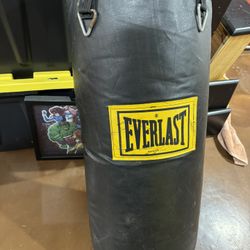 Punching Bag 
