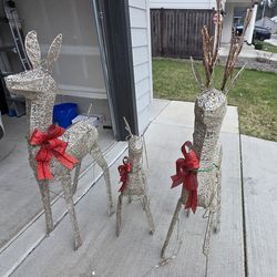 Christmas deer family