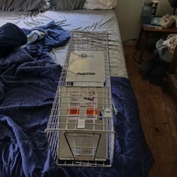 Small Live Trap