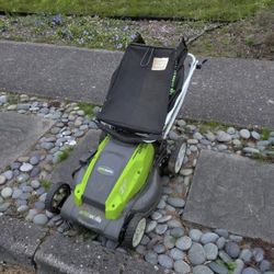 Greenworks electric mower