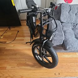 Tst Ebike 2 Passenger 