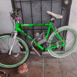 Bike With Motor