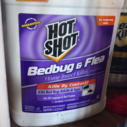 Hot Shot Bedbugs And Flea 1 Gallon