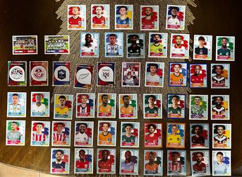Panini stickers