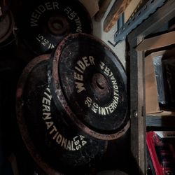 Pro International Olympic Weight Set 169  Pounds