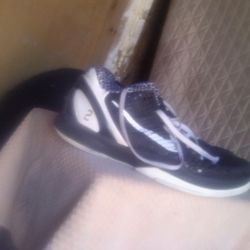 Kobe Dedication Shoe