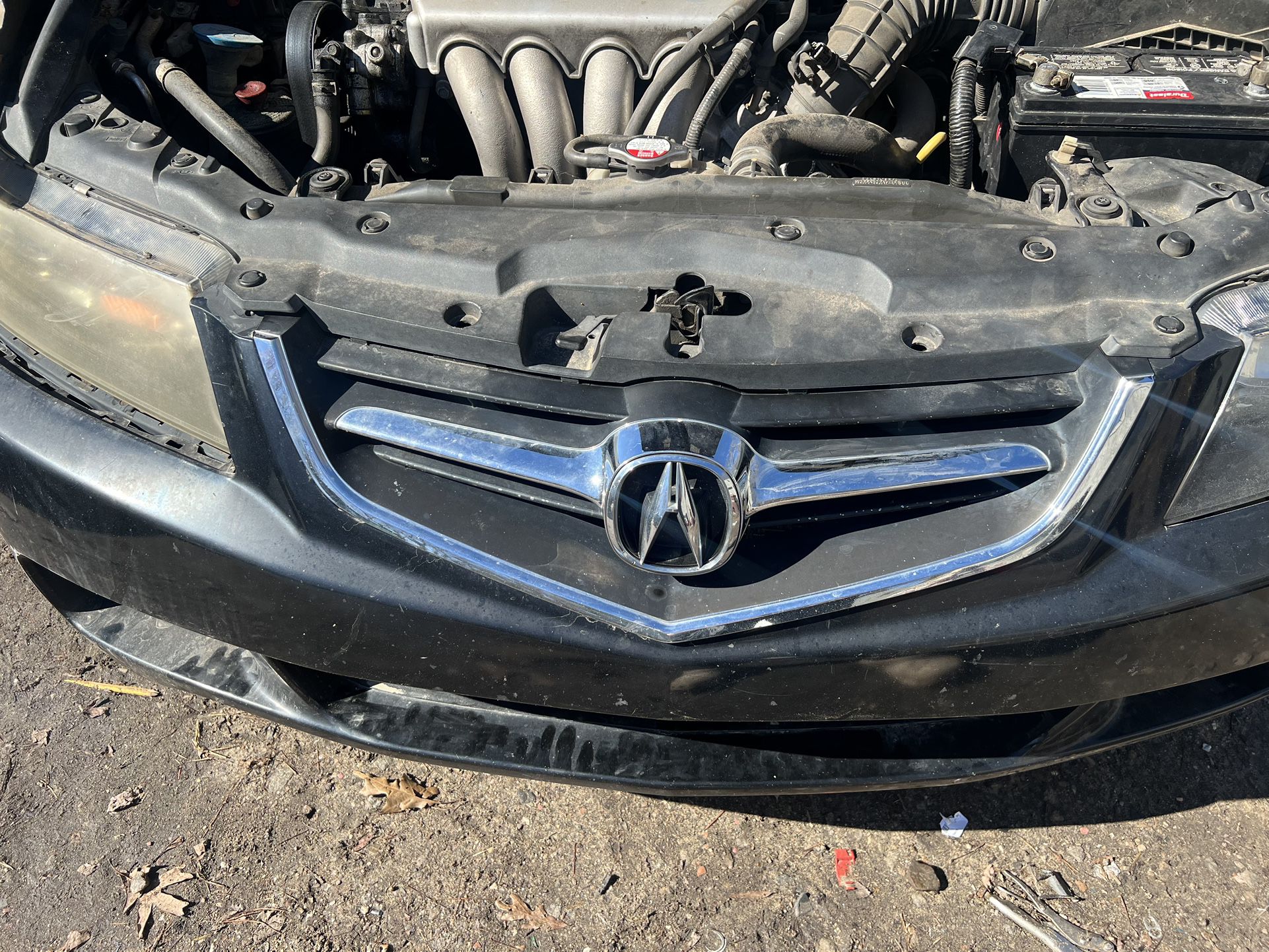 Acura Tsx Grille 2004