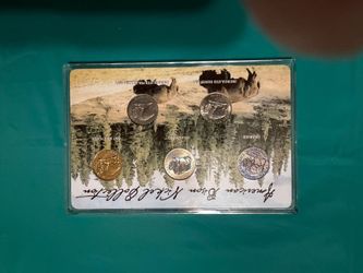 5 coin nickel set