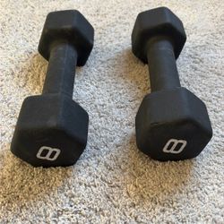 8lb Dumbbells 