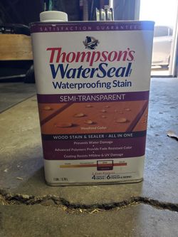 Thompsons Waterseal Semi Transparent