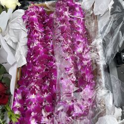 Real Orchids Lei / Graduation Lei