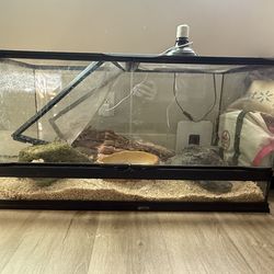 ReptiHabitat 40 Gallon Tank