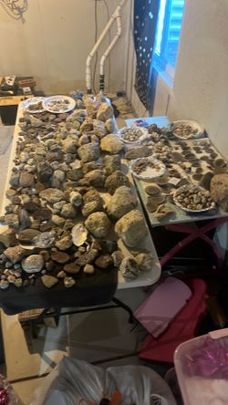 Fossils agates crystals lot