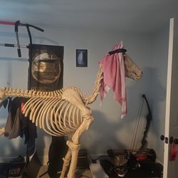 Skeleton Horse. Works. Outside For Just Halloween