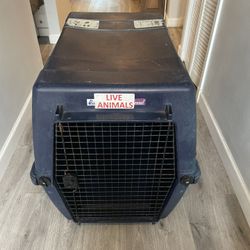 Pet Kennel Aproved For Airplane Flight Large