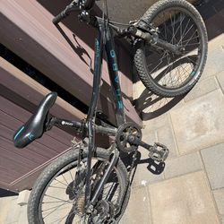 20” Haro Flightline