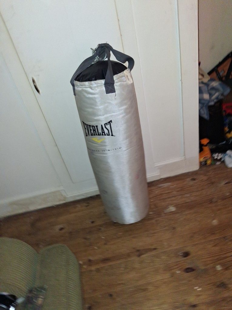 Everlast 80lb punching bag