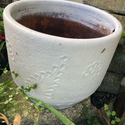 Maseta 