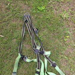 Safety Harness 
