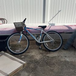 small adult trek hybrid bike 