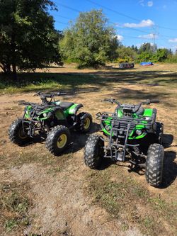2x Taotao quads 110cc