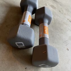 New 10lb Dumbbells Pair Weights Workout Fitness Equipment 