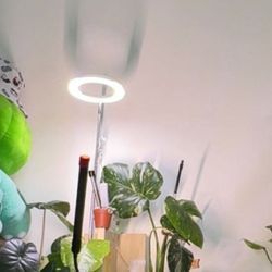 🌿 PLANT GROW LIGHT BUNDLE