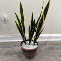 Faux Decorative Plants (very realistic)