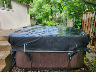 Hot Spring Prodigy in good condition