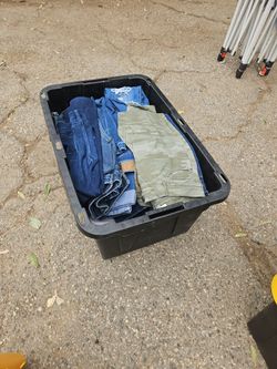 Ladies pants