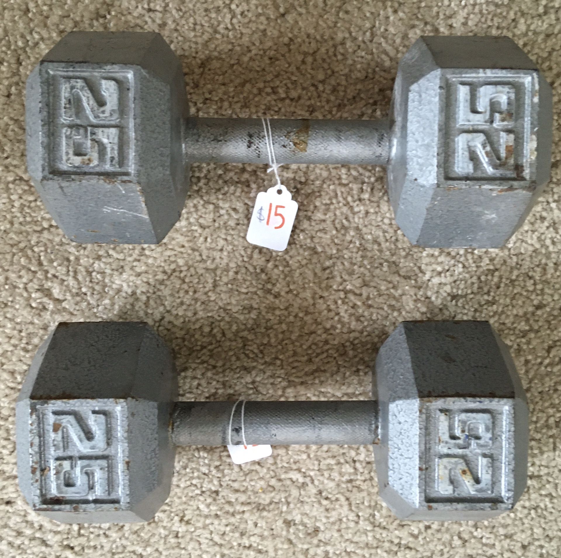 25 lb Dumbbells