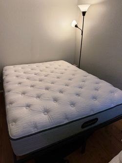 Mattress Firm 11.5” Medium Firm Pillow