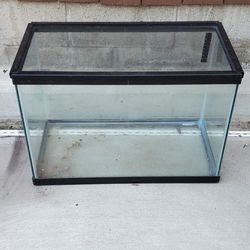 fish/ reptile tank