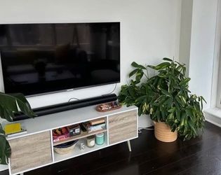 55 in TCL TV Class S5 UHD 4K
