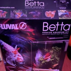 Betta Fish Tank