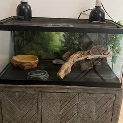 Bearded Dragon Aquarium Set 